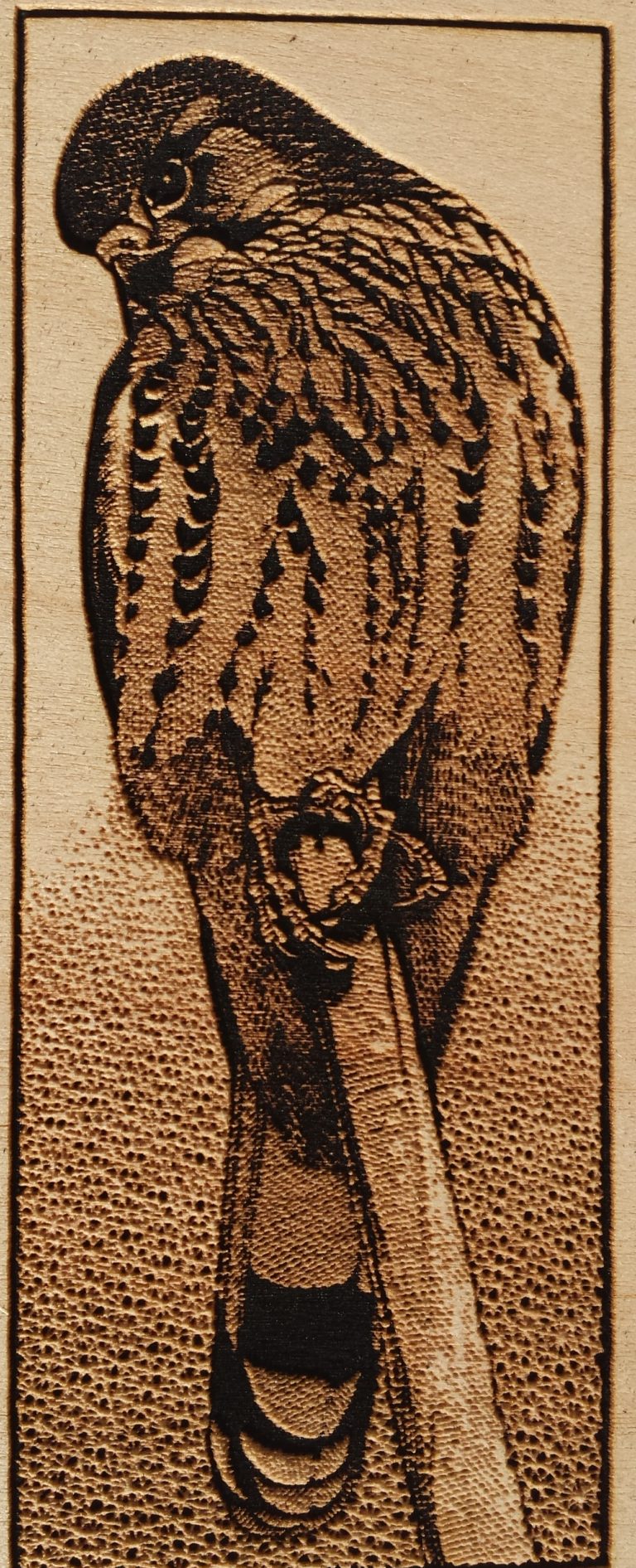 K40 engraving calibration instructions AwesomeTech