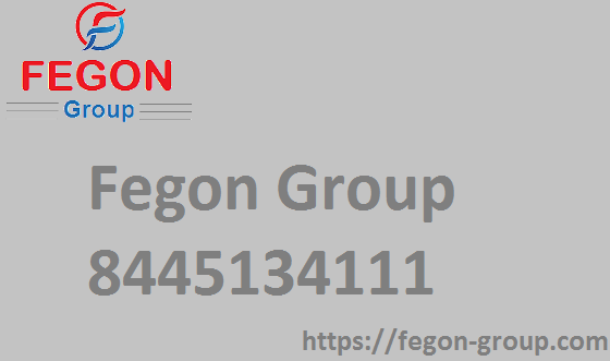 Fegon-Group-logo.png