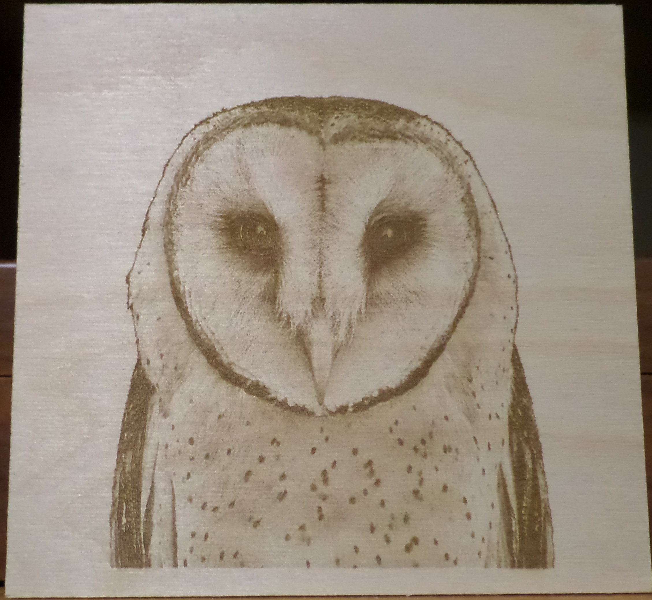 owl-2.jpg
